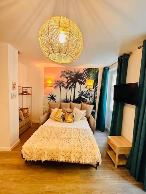 Les Appartements De Nana 2 - T2 Hypercentre, Rue Meynadier, Palais & Plage, Clim, Wifi كان المظهر الخارجي الصورة